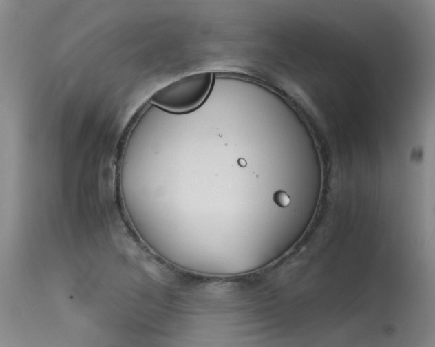 X0000115541268200911061142