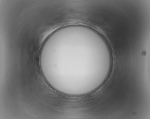 X0000115541269200911061142