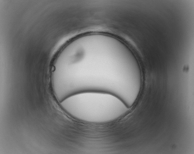 X0000115541270200911061142