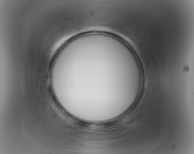X0000115541271200911061142
