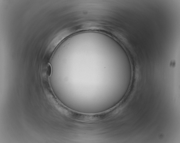 X0000115541273200911061142