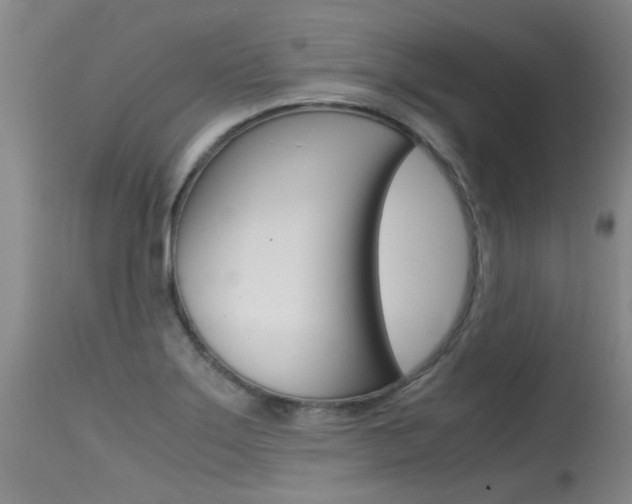 X0000115541275200911061142