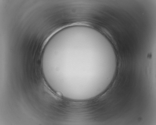 X0000115541276200911061142