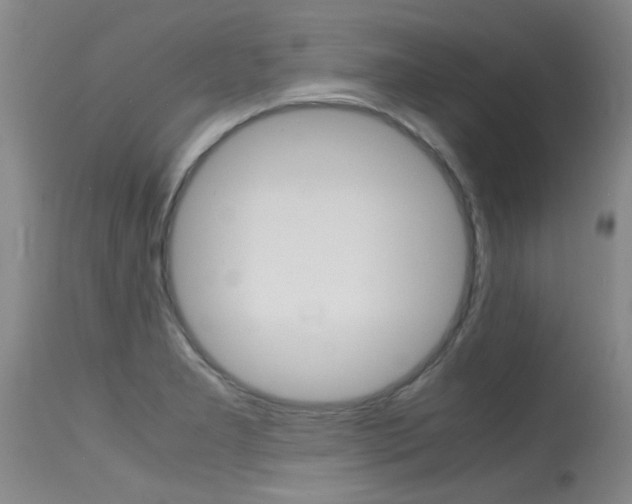 X0000115541277200911061142