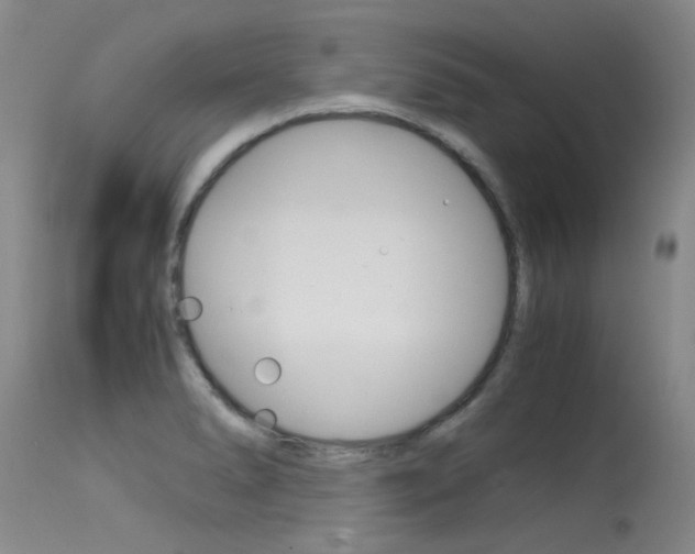 X0000115541278200911061142