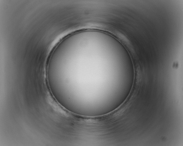 X0000115541280200911061142