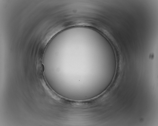 X0000115541281200911061142