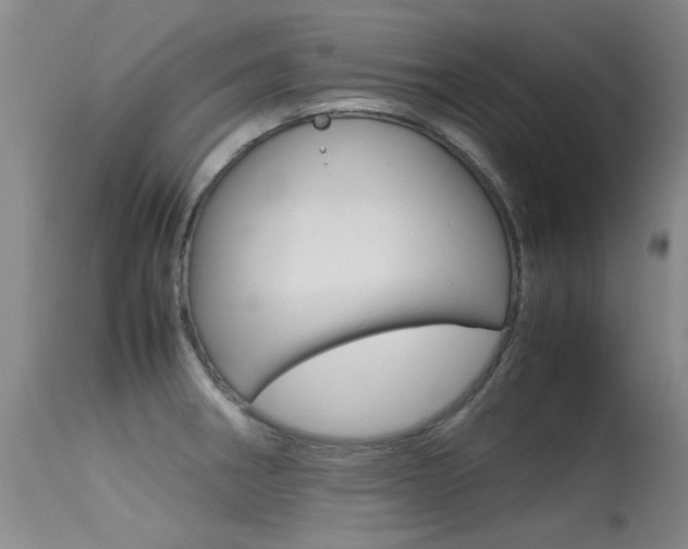 X0000115541282200911061142