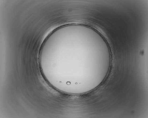 X0000115541283200911061142