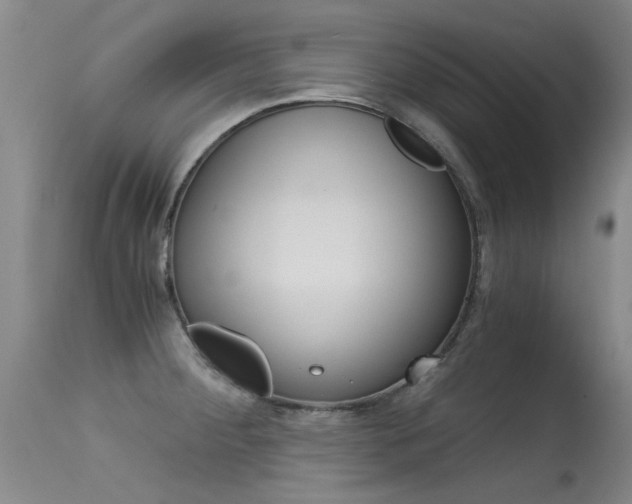 X0000115541284200911061142