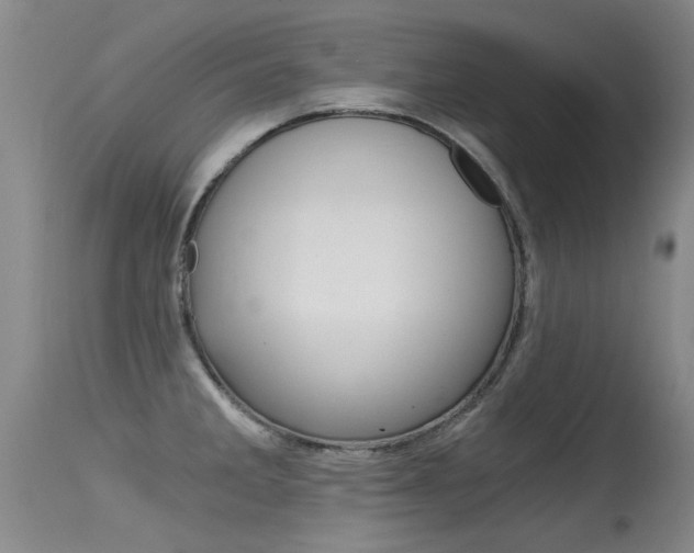 X0000115541285200911061142