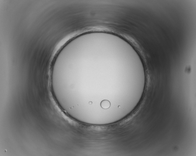 X0000115541286200911061142