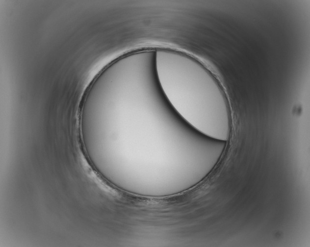 X0000115541287200911061142