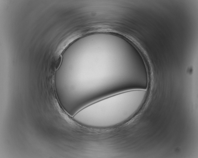 X0000115541289200911061142
