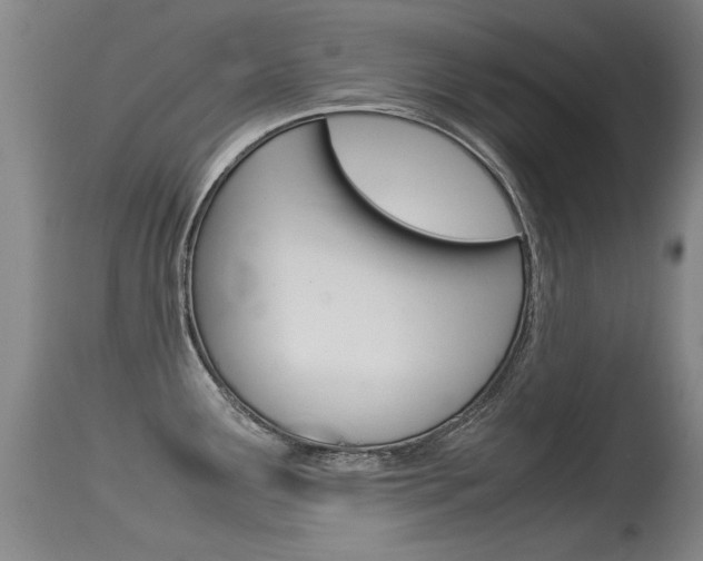 X0000115541291200911061142