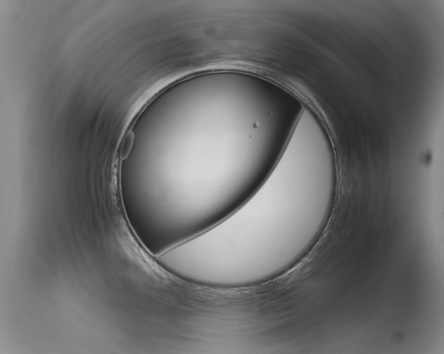 X0000115541292200911061142
