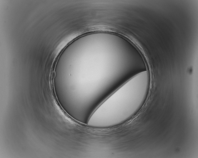 X0000115541293200911061142