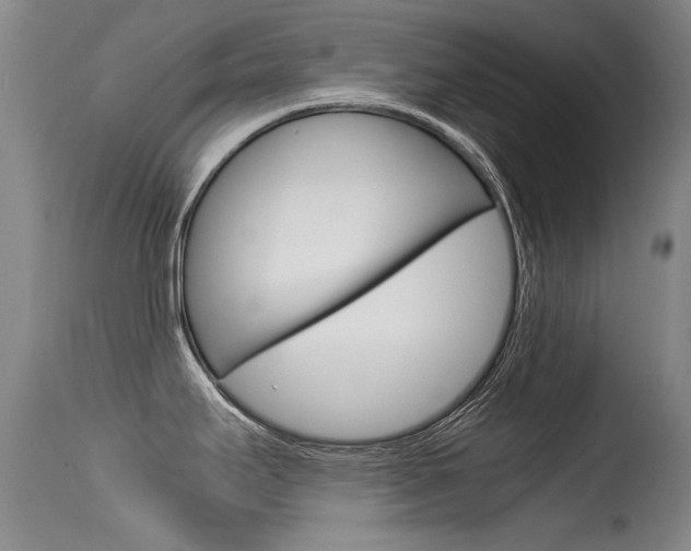X0000115541295200911061142