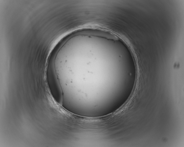 X0000115541296200911061142