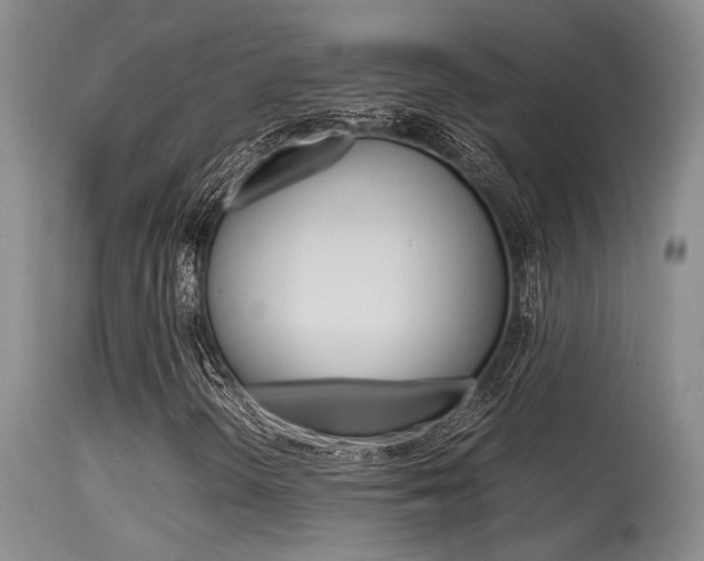 X0000115541298200911061141