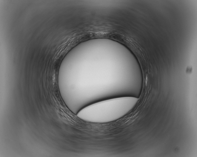 X0000115541299200911061141