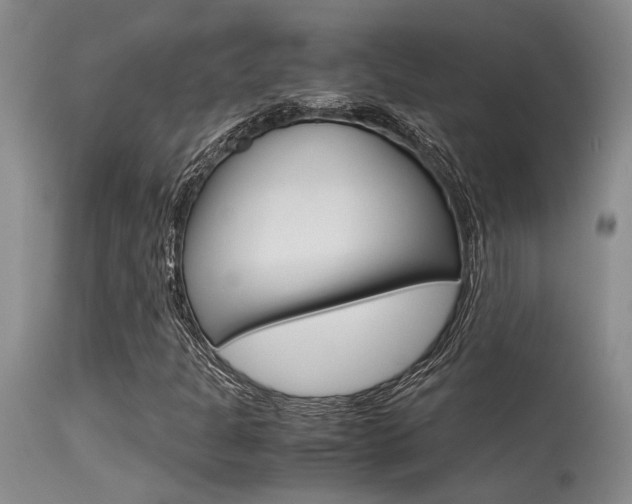 X0000115541301200911061141