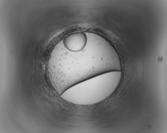 X0000115541302200911061141