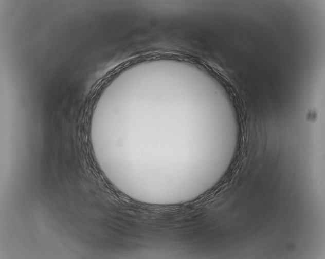 X0000115541303200911061141