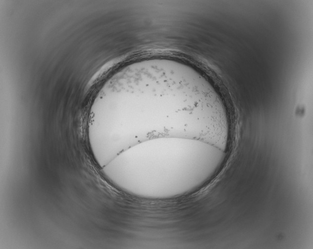 X0000115541306200911061141
