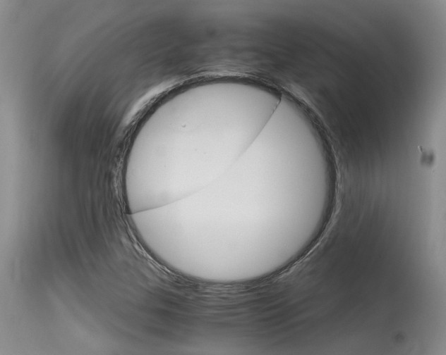 X0000115541307200911061141