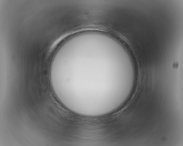 X0000115541310200911061141