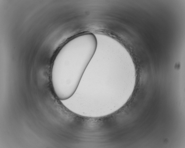X0000115541314200911061141