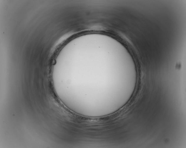 X0000115541315200911061141