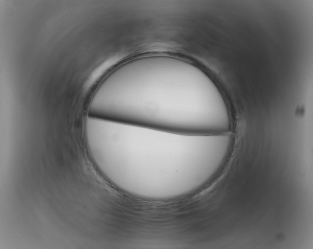 X0000115541317200911061141