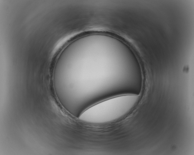 X0000115541319200911061141