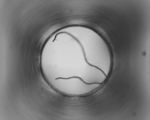 X0000115541322200911061141