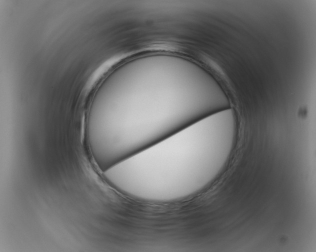 X0000115541323200911061141