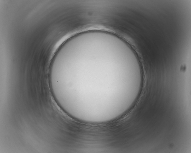 X0000115541326200911061141