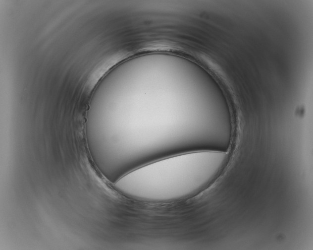 X0000115541329200911061141
