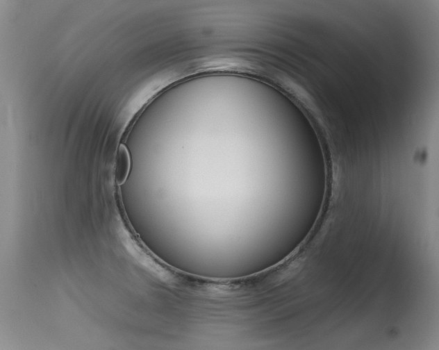 X0000115541330200911061141