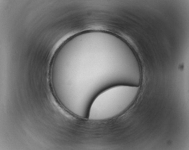 X0000115541331200911061141