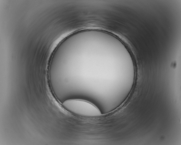 X0000115541333200911061141