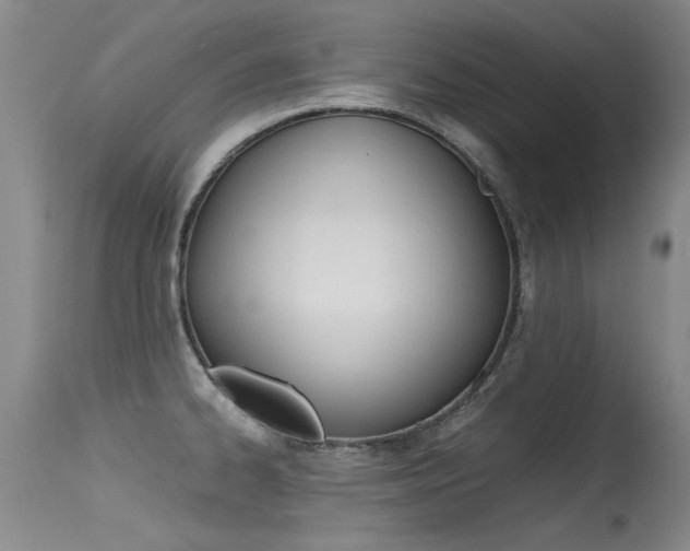 X0000115541334200911061141