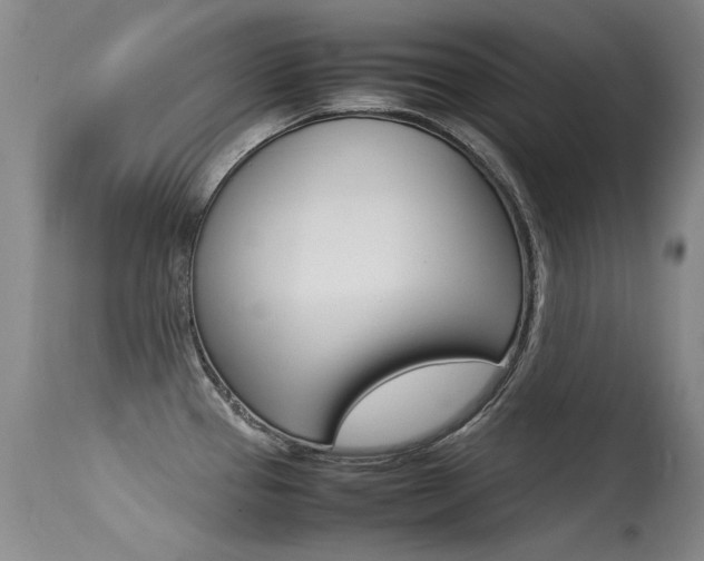X0000115541337200911061141