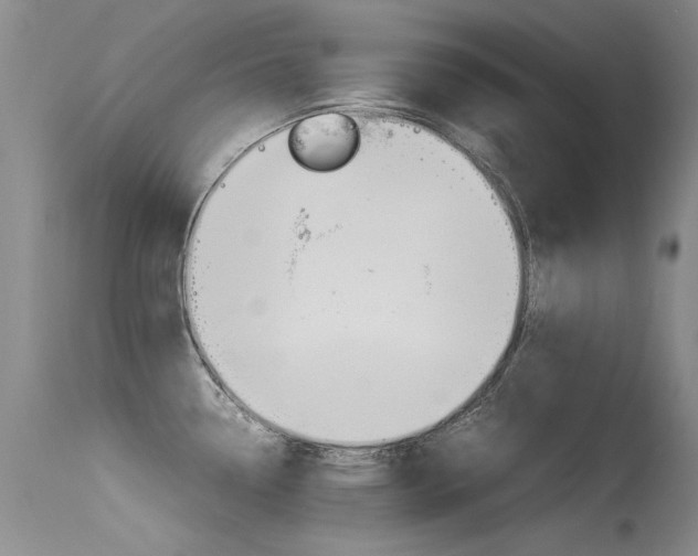 X0000115541338200911061141
