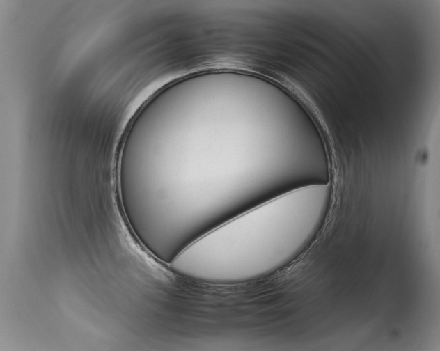 X0000115541339200911061142