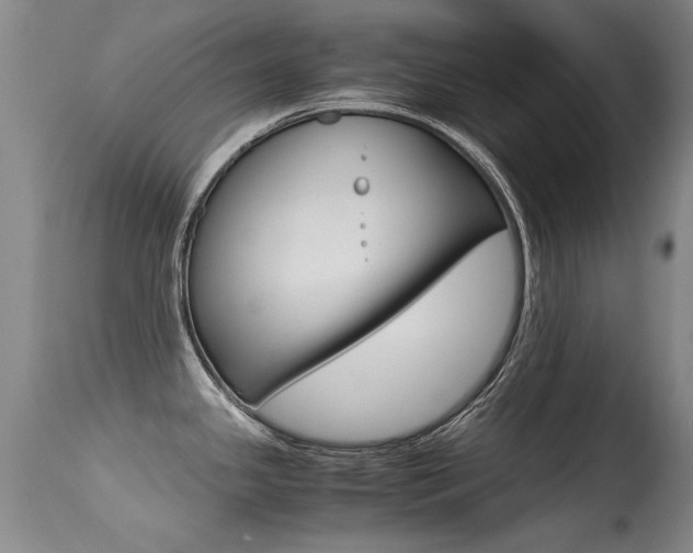 X0000115541341200911061142