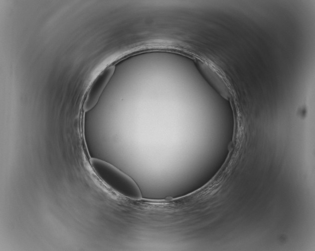 X0000115541342200911061142