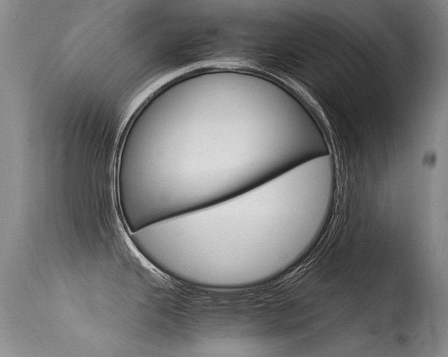 X0000115541343200911061142