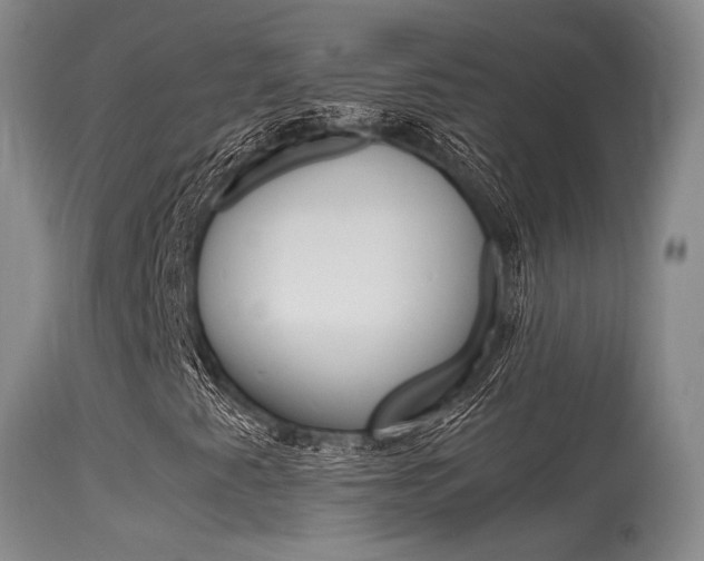 X0000115541345200911061141